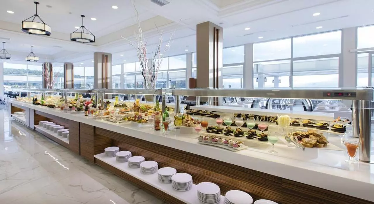 PALMWING_SHABAVIZ (35).jpg